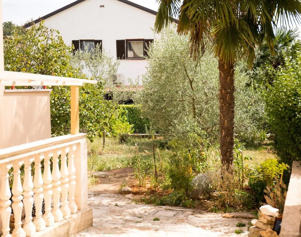 Apartments Nonno Novigrad  Croatia