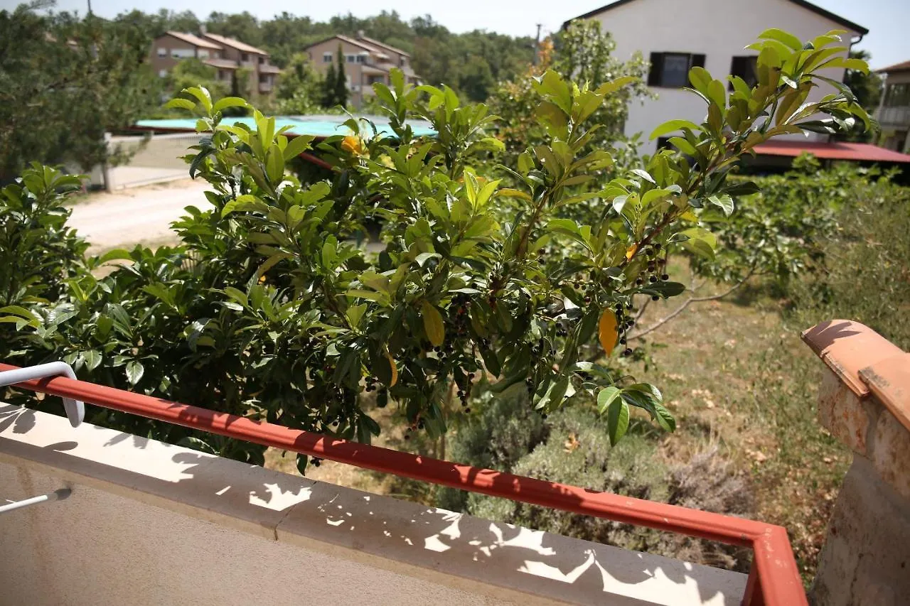 Apartments Nonno Novigrad   Novigrad (Istria)